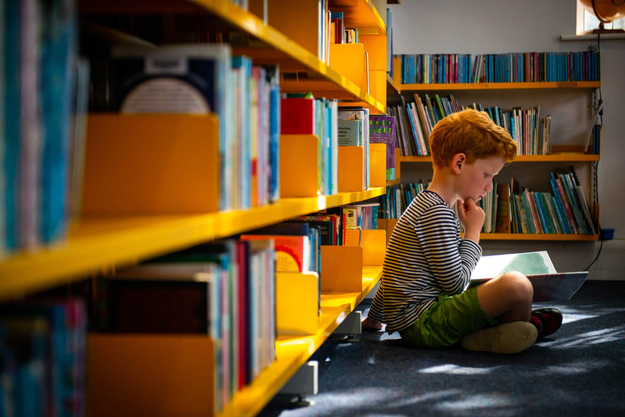 LGMA Libraries Southern