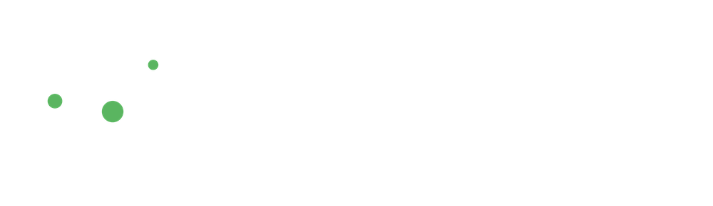 Local Government Ireland Logo Southern