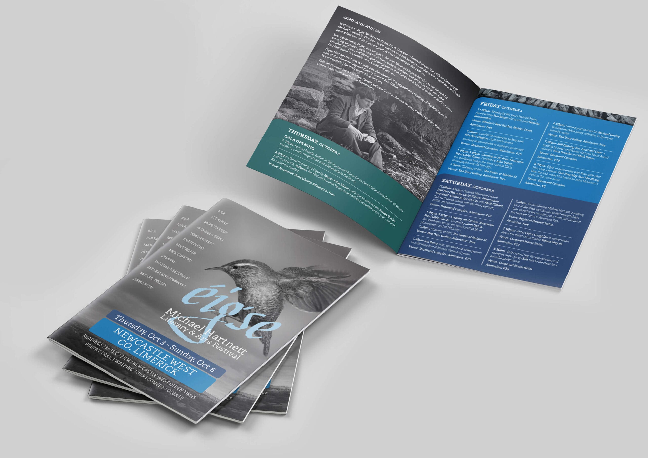 Eigse Arts & Culture Southern