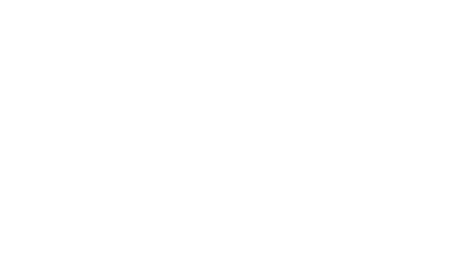 FlightLink Logo White Southern