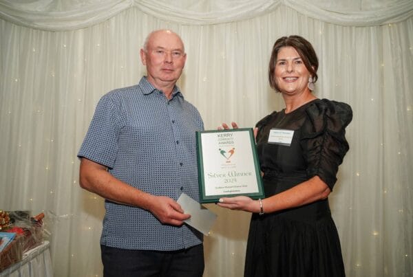 The Kerry Community Awards Southern